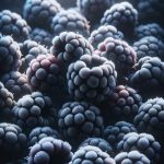 WHOLE FROZEN BLACKBERRIES - Image 2